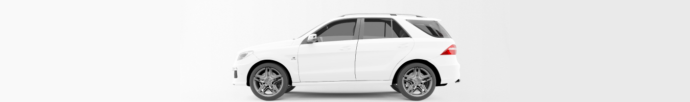 Passenger Vehicles bg2