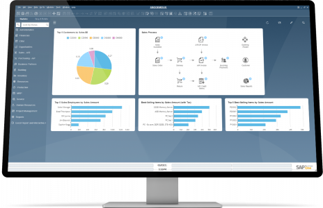 sap analytics dashboard 2