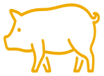 svinarstvo